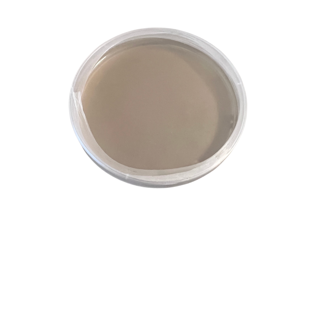 Single Agar Plate