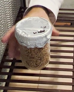 grain jar after being shaken