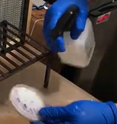 cleaning agar plate